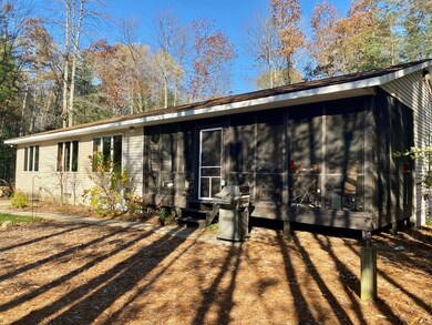 10031 S Riverbend Dr, Baldwin, MI 49304 - photo 3