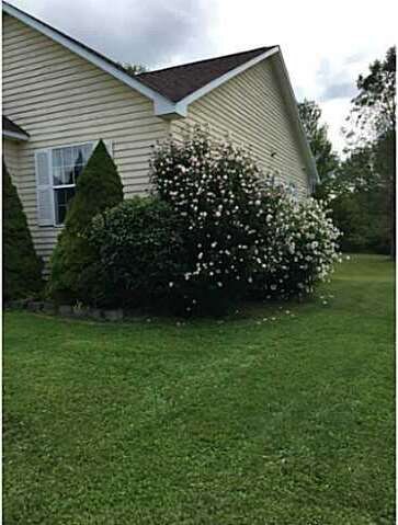 Exterior Front. Rose of Sharon bush....beautiful!