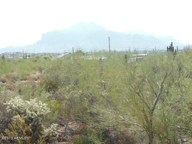 Enjoy the Desert