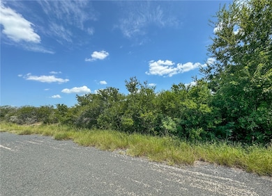 000 Deer Run Trace, Three Rivers, TX 78071 - photo 2