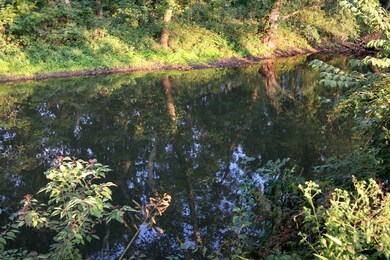 21301 NW 1700th Rd, Garnett, KS 66032 - photo 5