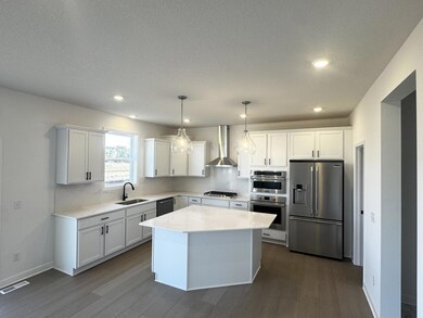 Progress photo of the actual home.