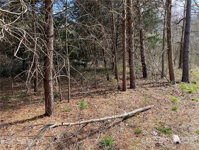 000 Twin Oaks Rd, Statesville, NC 28625 - photo 7