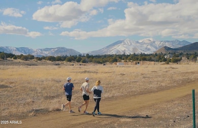 12933 Blazing Ore Trail, Flagstaff, AZ 86004 - photo 7