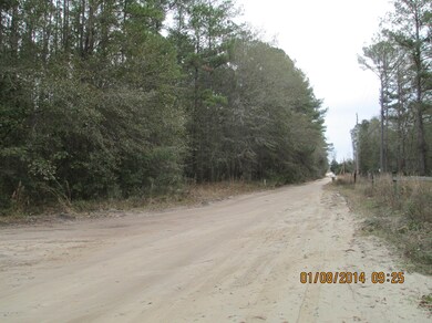 3474 Baker Rd, Middleburg, FL 32068 - photo 4