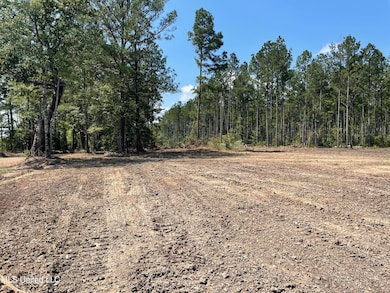 0 Pisgah Rd, Brandon, MS 39047 - photo 3