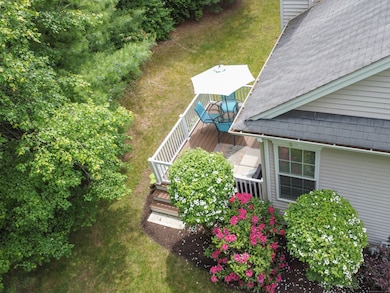 Bushes are in full bloom and your new (2024) trex deck offers a lovely, tranquil setting