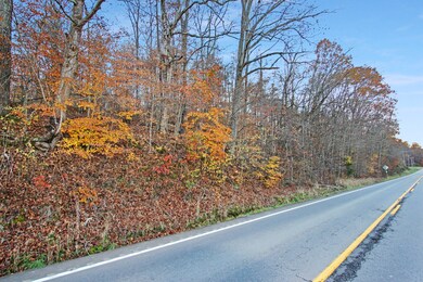 0 Highway 147 unit RTC2310222, Stewart, TN 37175 - photo 3