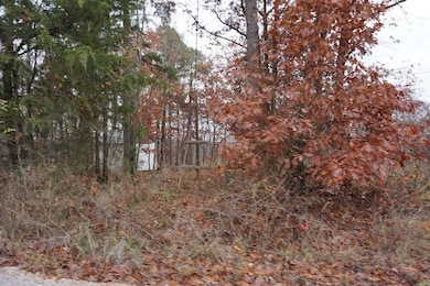 000 Union Hill Rd, Pleasant Plains, AR 7568 - photo 5