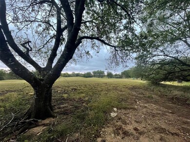 38104 Misty Ridge Dr, Whitney, TX 76692 - photo 2