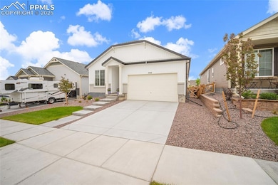 5914 Torrisdale View, Colorado Springs, CO 80927 - photo 6