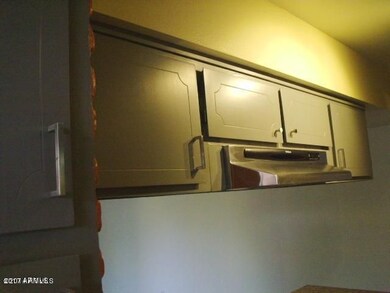 Stainless steel hood cholla