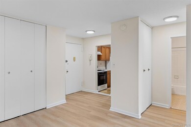 Village Mall at Hillcrest unit 1R, Flushing, NY 11367 - photo 4