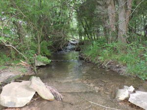 15-creek
