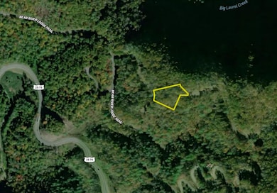 Lodge, Marshall, NC 28753 - photo 3