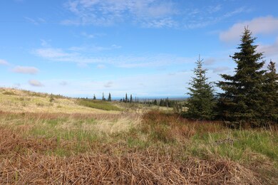 34371 Bluegrass St, Anchor Point, AK 99556 - photo 5