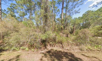 337 Palm Way, Georgetown Cove, FL 32139 - photo 6