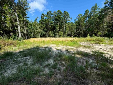 130 Ashcreek Ln unit lots 130,131, Brookeland, TX 75931 - photo 4