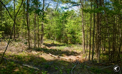 571 Stickney Bridge Rd, Jay, NY 12941 - photo 4