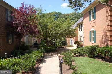 728 N Armistead St unit 68, Alexandria, VA 22312 - photo 3