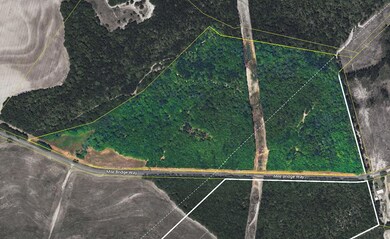 Aerial Map for Mile Bridge Concept Plan