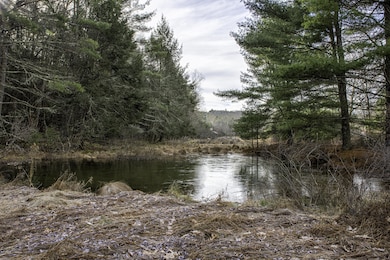 112 Rowland Rd, Greeley, PA 18425 - photo 6