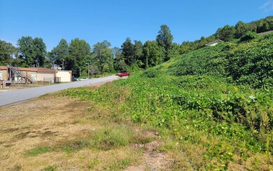 Additional View