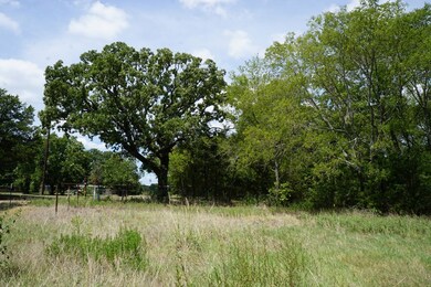 01 Cr 1200, Crossroads, TX 75148 - photo 5