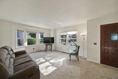 7-web-or-mls-DSC07657