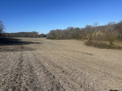 0 Old Kentucky Rd, Sparta, TN 38583 - photo 2