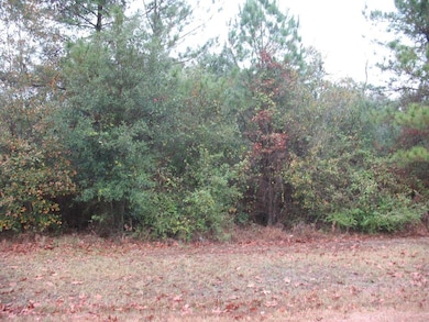 165 White Oak Ln, Lufkin, TX 75904 - photo 3