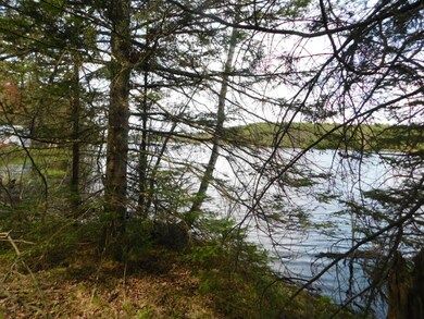 Lot 1 Silver Birch Rd, Tomahawk, WI 54487 - photo 7