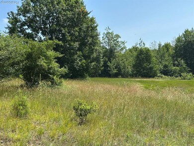 77 E Starlight Ridge Cir, Onekama Township, MI 49675 - photo 5