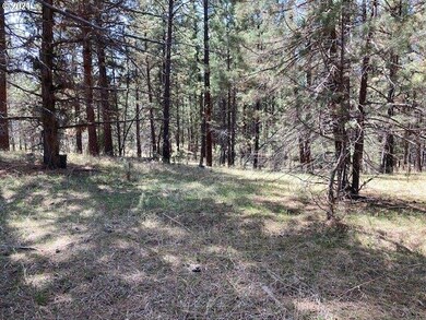 0 Nans Rock Rd unit 21028873, Mount Vernon, OR 97865 - photo 5