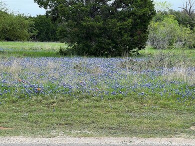 27019 Stonewood Dr, Whitney, TX 76692 - photo 7