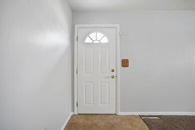 32_DSC09965_mls