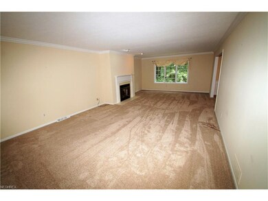 Family Room with fireplace over looking secluded &