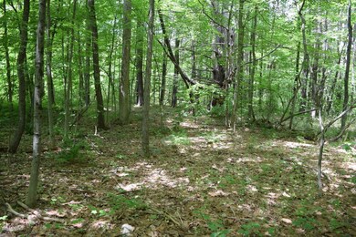 unlisted-address, Great Barrington, MA 01230 - photo 5