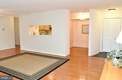 1706 Mount Washington Ct unit D, Baltimore, MD 21209 - photo 5