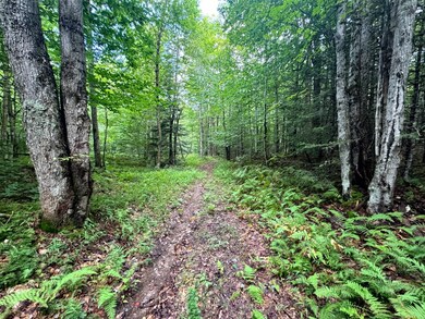 1.6 Farr Rd unit 6, Ohio, NY 13324 - photo 6