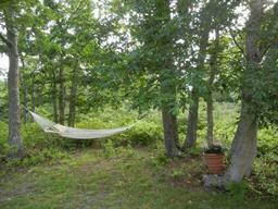 199 Great Plains Rd, West Tisbury, MA 02575 - photo 5