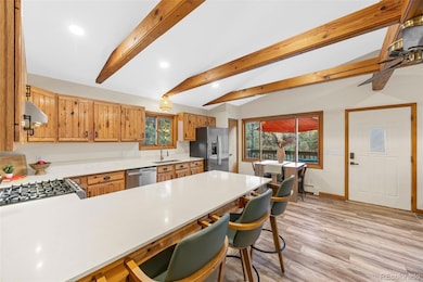 22 Driver Rd, Bailey, CO 80421 - photo 4