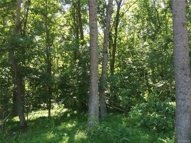 9 Farrington Place Ln, Hanover, VA 23005 - photo 6