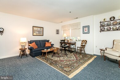 520 Mcmanus Way unit C1, Towson, MD 21286 - photo 6