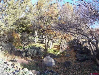 0 NE Ginters Grove Ln unit 686851, Cedaredge, CO 81413 - photo 5