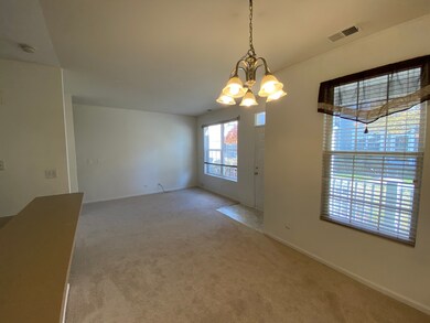 214 Springbrook Trail S, Oswego, IL 60543 - photo 6