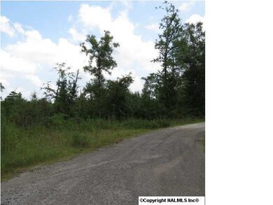 0 Shields Ave, Rainbow City, AL 35906 - photo 4