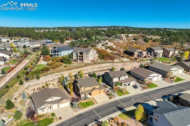 132 Kettle Valley Way, Monument, CO 80132 - photo 5