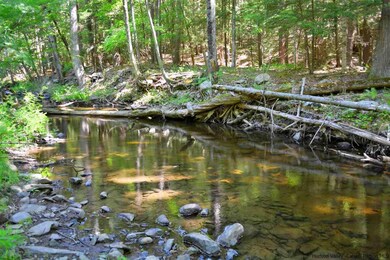 417 Whitfield Rd, Accord, NY 12404 - photo 6