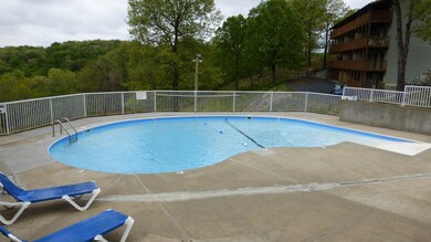 Lower Pool Deck